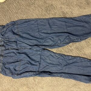 Torrid Blue Denim Jeans